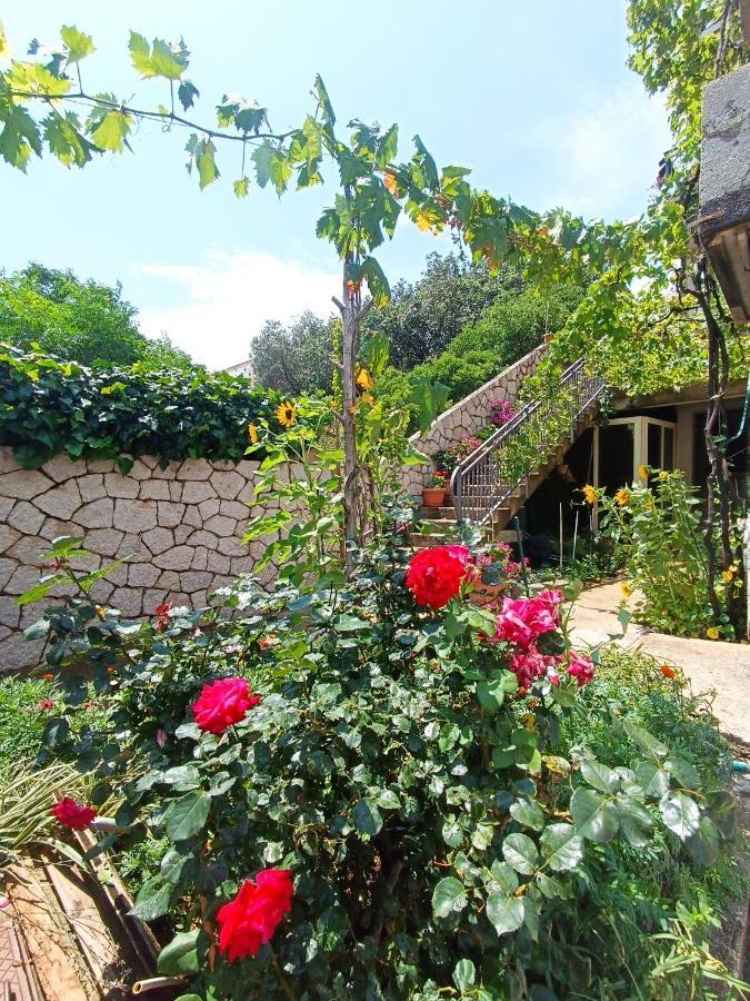 Dubrovnik Apartment Nepe Экстерьер фото